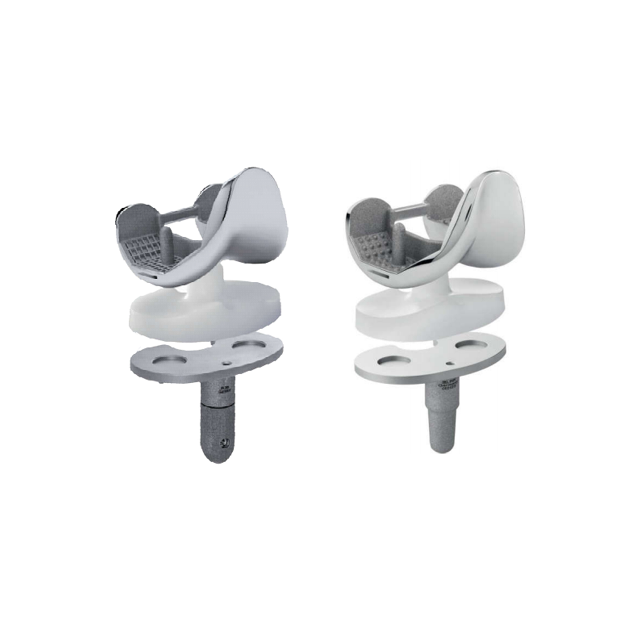 GEMINI PS Total Knee Replacement