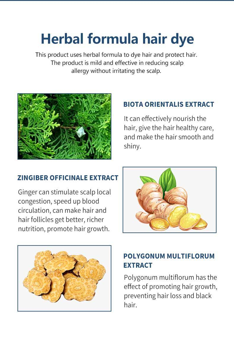 Shampoo Colorant Rapide 3 en 1 Non Irritant Non Allergique