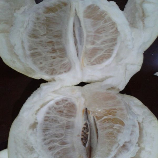 Global GAP Certified Fresh Pomelo Citrus Fruits For Supermarkets