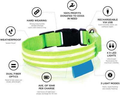 LED Illuminated Illuminated Dog Collar Various Colors Long Working Hours