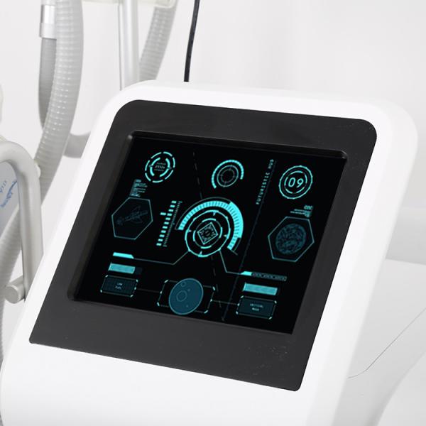 2018 Best selling products 2018 in USA  4 handles Cryolipolysis cool technology fat freezing machine Ice Shaping IV Pro