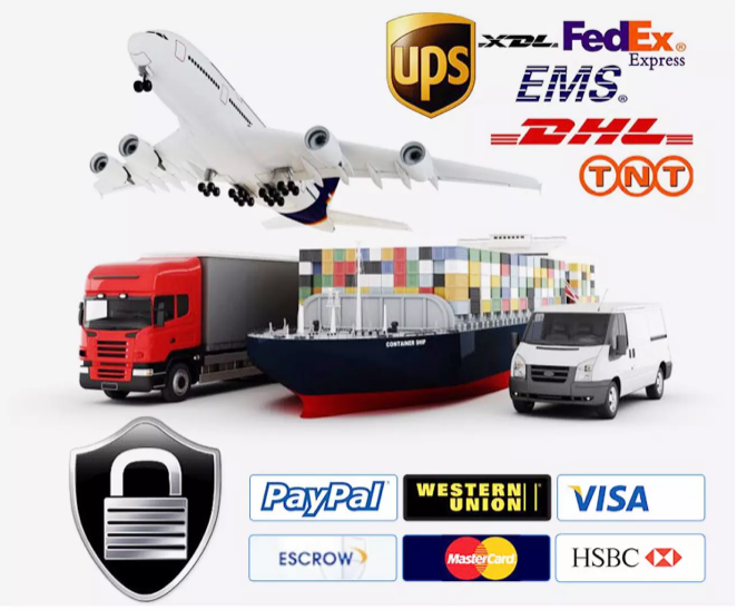 Electric Operated Brush Micro Water Pump High Pressure 6V 9V 12V 24V