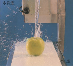 50HZ Stainless Steel Belt Conveyor