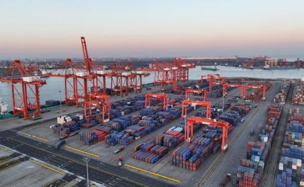 Food With Commercial Package FCL LCL International Freight From China To Dubai Iran Qatar Oman By Sea Freight