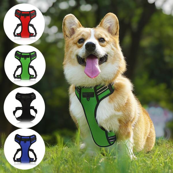 Neoprene Harness Upgrade Wardrobe with this ReversibleBow Tie and Bandana Set