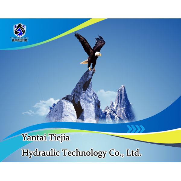 Quick Connect Excavator Arm Iron Pipe Assembly Globe Valve Accessories