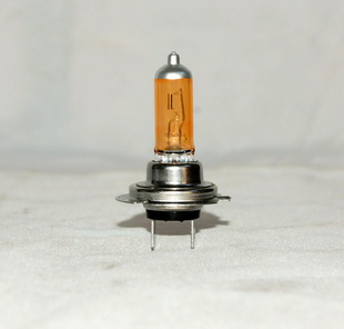 H7 BULBS