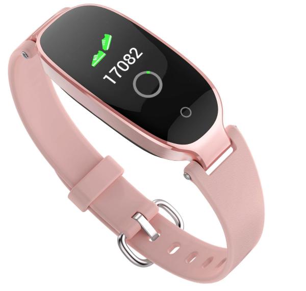 IP67 coração Rate Health Bracelet, faixa da aptidão do CE ROHS FC com Ecg