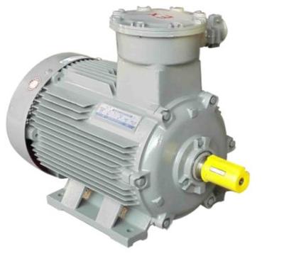 YE3 series (IE3 GB2) premium efficiency three phase asynchronous motors Speed 1000RPM EX-D-IIB-T4-GB YE3-160L-6 YE3-180L-6 YE3-200L1-6 YE3-200L2-6 YE3-225M-6 YE3-250M-6 YE3-280S-6 YE3-280M-6