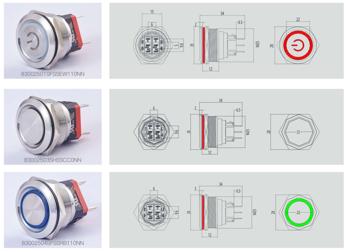 Heavy Duty 25mm Stainless Steel Push Button Switch IP66 Rated 10A 250Vac for Industrial Equipment