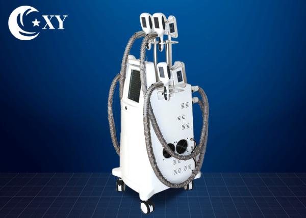 Ce Certificate Salon Cryolipolysis Slimming Machine For Fat Loss
