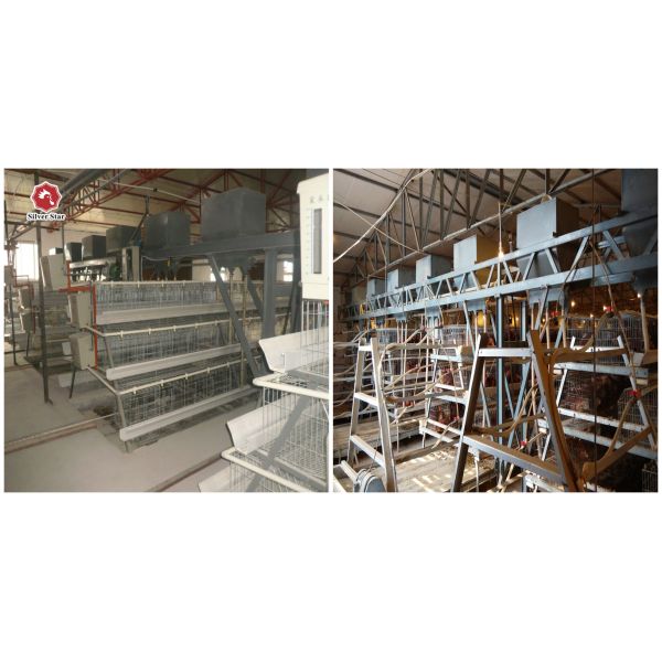 автомат питания бройлера 380V, горячее погружение 500KGS гальванизировал оборудование клетки цыпленка