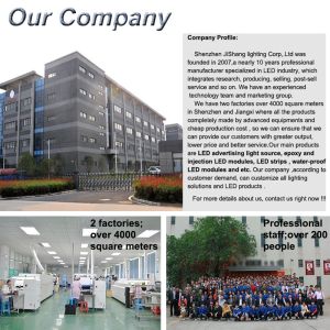 Shenzhen Qingchen Light Technology Co., Limited