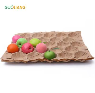 ECO-friendly Fruits and Vegetable Packing Alveoli Apple Box Packaging Tray Moulded Pulpl Apple Tray