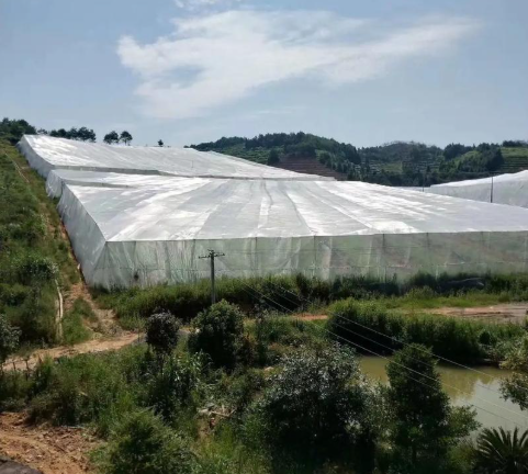 Vegetables And Fruit Tree Netting Bags Cover For Recycle Ultra fine