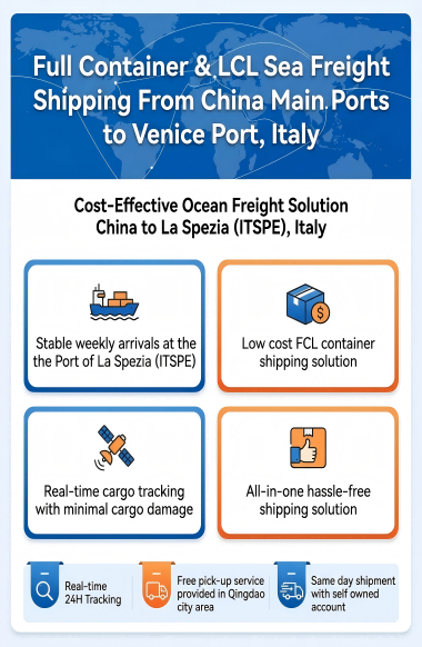 Cost-Effective Ocean Freight with FCL Container Shipping and 24/7 Multilingual Support from China to La Spezia