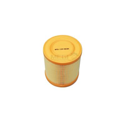 4F0-133-843A 4F0133843A Auto Air Filter For Audi Mclaren Car