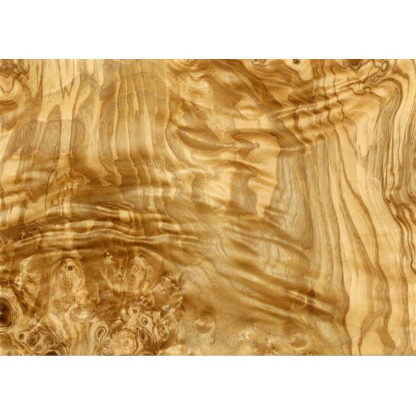 Olive Ash Burl Natural Wood Veneer for Panel Door and Furniture Industry from www.shunfang-veneer-com.ecer.com