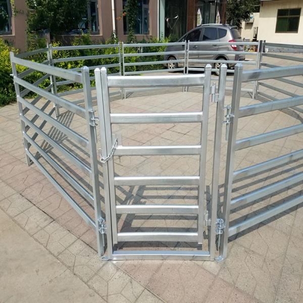 Équipement de ferme Bétail de 6 pieds Bétail de 6 pieds Bétail de 6 pieds Bétail de 6 pieds Bétail de 6 pieds Bétail de 6 pieds Bétail de 6 pieds