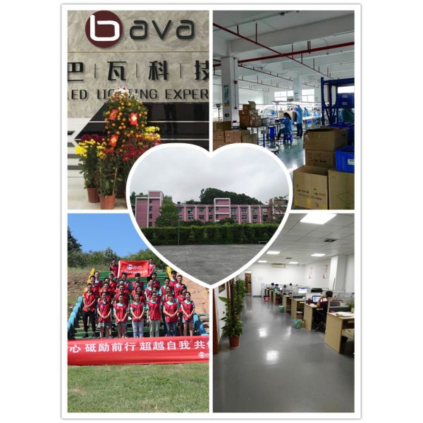 120W 3000k Qb288 SAMSUNG LM301B Quantum Board V2 Greenhouse Grow Lamps