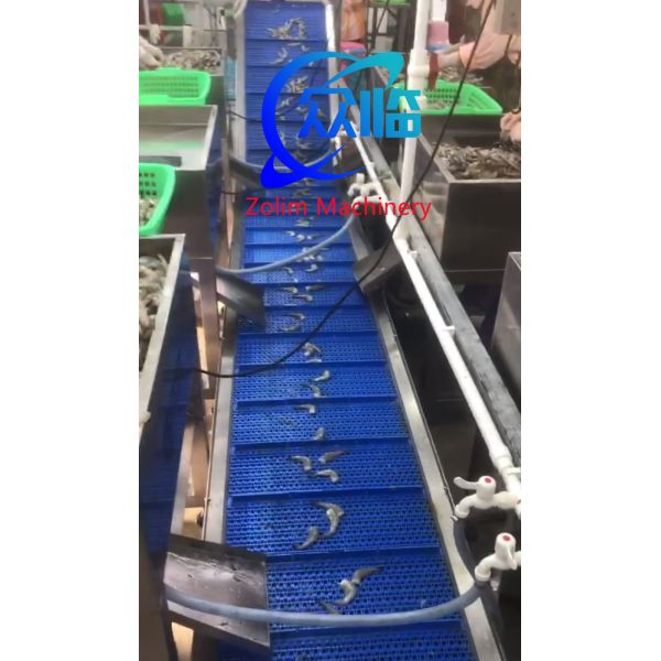 High Speed Automatic Shrimp Cutting Machine For Restaurant And Factory