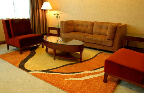 Striped design shaggy embroidered living room polyester area rug