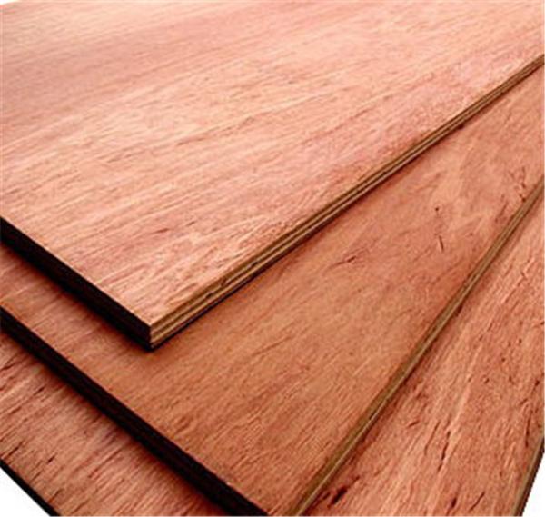 Calophyllum Grains 1220×2440×18mm Red Plywood