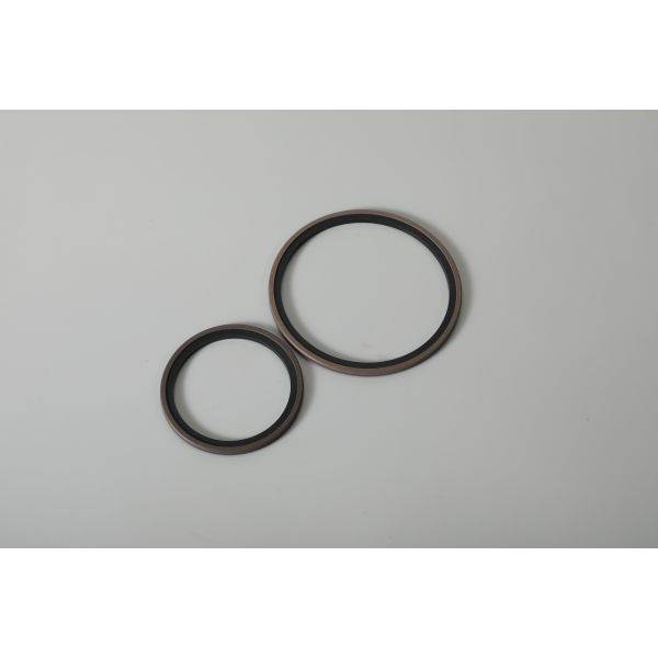Industrial Single Lip Double Lip Oil Seal Composite Lip Seal Double Lip Brown