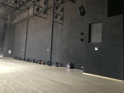 Auditorium Side Wall Black RAL Cement Wood Wool Acoustic Panels Soundproofing Board