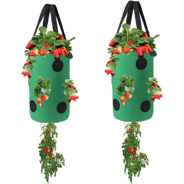Nonwoven Fabric Strawberry Grow Bag Plant Pots