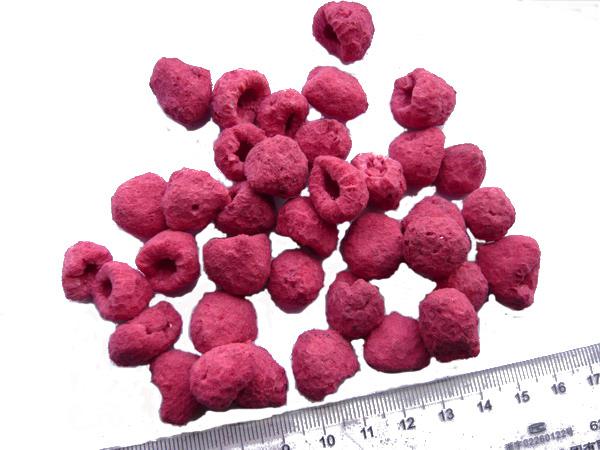 Sell Green Food No Additives Freeze Dried Raspberries Sugar Free fruit snacks