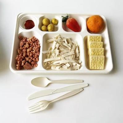 White Disposable Divided Plates Rectangle , Waterproof Rectangle Divided Paper Plates