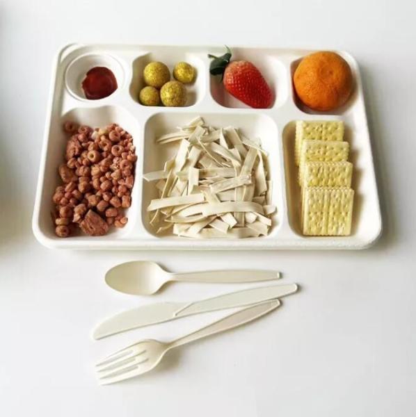 White Disposable Divided Plates Rectangle , Waterproof Rectangle Divided Paper Plates