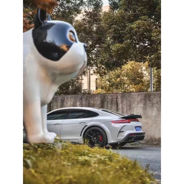 Kit de cuerpo de fibra de carbono de alta calidad para Porsche Paramela 971