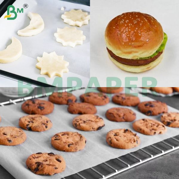 30gsm-80gsm Oil Resistant Paper Rolls for Oily Food Packaging