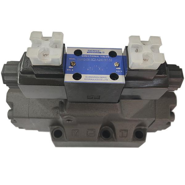 High Pressure Hydraulic Solenoid Pilot Operated Valve DSHG-06 Series