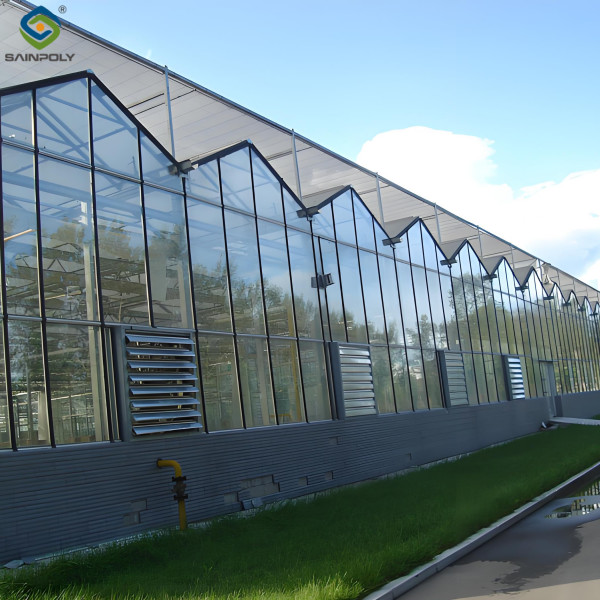 Modern Venlo Greenhouse Farming Commercial Glass Greenhouse With Steel Frame