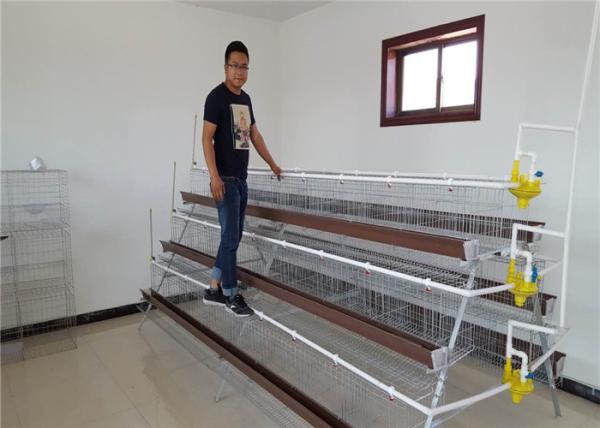 1.88m , 2m , 2.15m , 3m Length Battery Cage For Layers Design For Mozambique