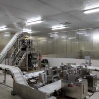 Banda transportadora ISO9001 que clasifica el sistema