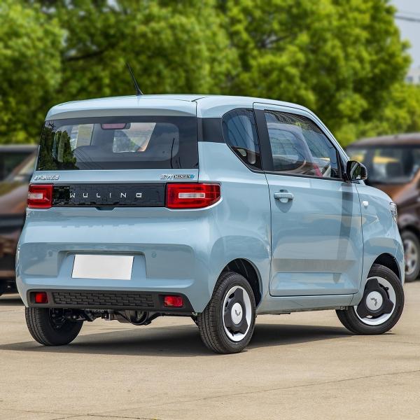 E100 E300 Ev Electric Car