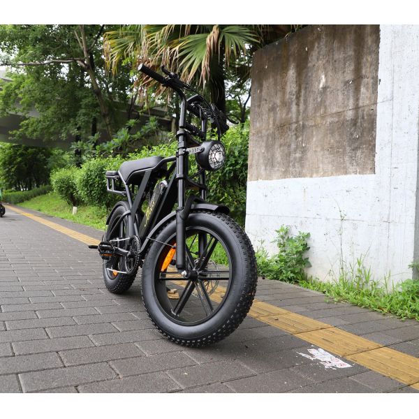 All Terrain Ebike Offroad  Bike Electric Bike Beach Cruise E-bike 750w Fat Tire Mountain E-bike  V8 Ebike