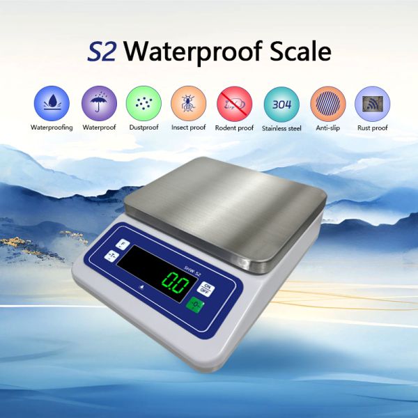 ABS Material 430 Stainless Steel Plate Table Scale for Advanced S2 Waterproof Electronic