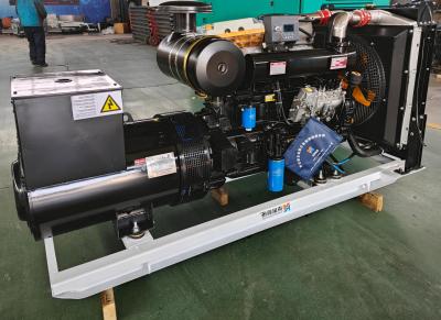 Niveau de bruit ≤ 70 dB Générateur Ricardo avec alternateur sans pinceau et puissance nominale de 30 kW à 300 kW