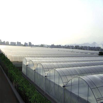Climate Adjustable Plastic Film Greenhouse Heat Resisting Anti Freezing Moisture Proof