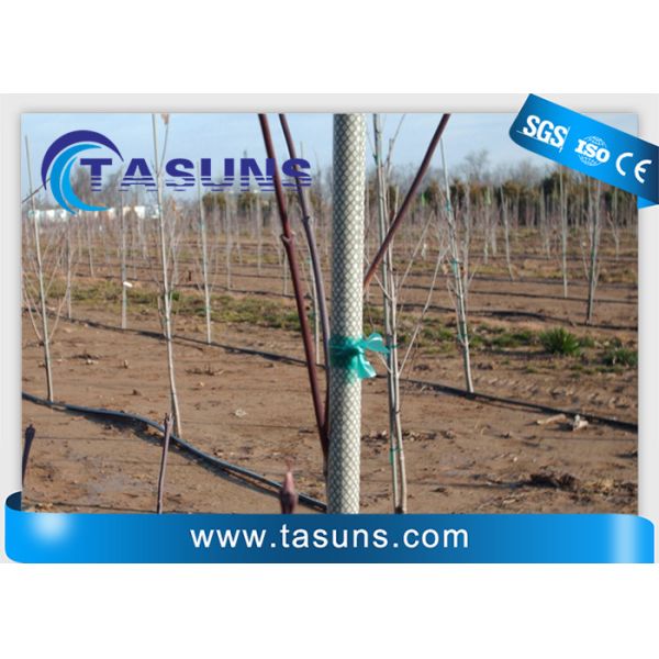 Palillo ULTRAVIOLETA de Rod For Plant Tree Support postes de la fibra de vidrio de Pultruded del inhibidor
