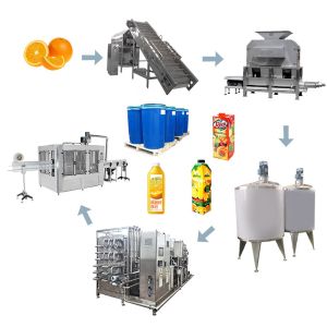  Complete Citrus Processing Plant | Turnkey Machinery for Orange Juice, Puree & Lemonade