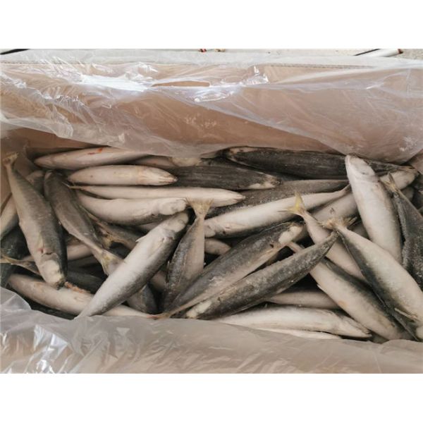 90g 100g IQF Frozen Whole Muroaji Fish HACCP Approved