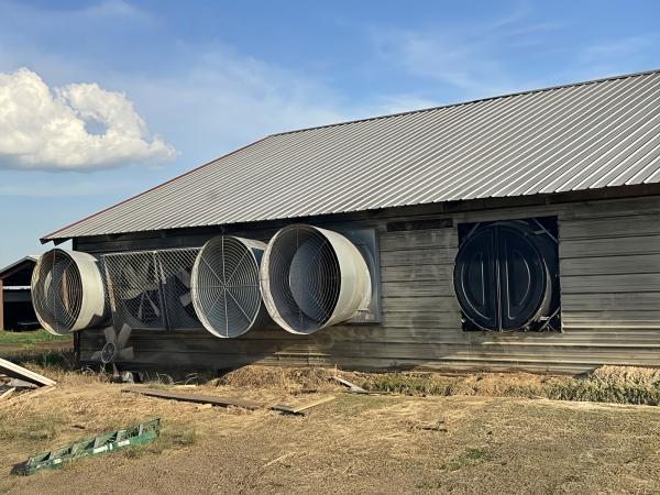 Q235B Q355B ASTM A36 Prefab Poultry House Farm Modern Structures Good Insulation