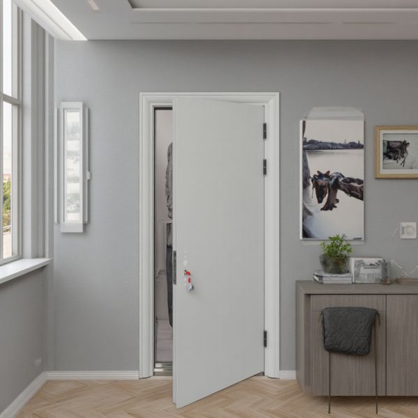 teel Security Door with Invisible Hinge  Simple Modern Design  Residential Exterior