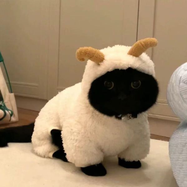 Cute Cat Clothing Thick Plush Four Legged Pet Faux Lamb Fur Clothing